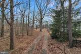 24706 Mcmullen Highway - Photo 11