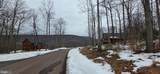  Fork Run Trail - Photo 5