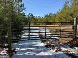  State Hwy. 15 (Tract: Tonguequarter) - Photo 1