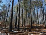  State Hwy. 15 (Tract: Tonguequarter) - Photo 10