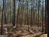  State Hwy. 15 (Tract: Tonguequarter) - Photo 11