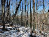  State Hwy. 15 (Tract: Tonguequarter) - Photo 12