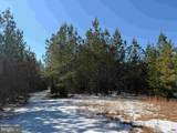  State Hwy. 15 (Tract: Tonguequarter) - Photo 2