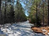  State Hwy. 15 (Tract: Tonguequarter) - Photo 7