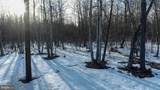 498 Acres Maryland Highway - Photo 19