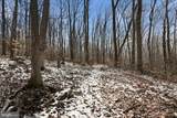 Lots 123 & 124 Tulip Tree Way - Photo 2