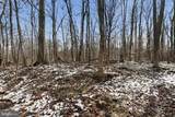 Lots 123 & 124 Tulip Tree Way - Photo 3