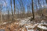 Lots 123 & 124 Tulip Tree Way - Photo 7