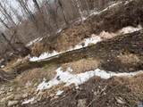  Perkins Hollow Ln - Photo 34