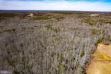 49.26 Acres Jericho Road - Photo 11
