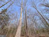 49.26 Acres Jericho Road - Photo 13
