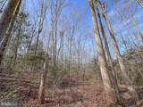 49.26 Acres Jericho Road - Photo 14