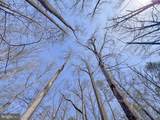 49.26 Acres Jericho Road - Photo 16
