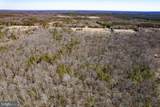 49.26 Acres Jericho Road - Photo 24