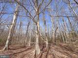 49.26 Acres Jericho Road - Photo 25