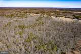 49.26 Acres Jericho Road - Photo 26