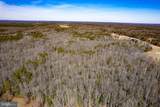 49.26 Acres Jericho Road - Photo 28