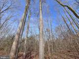 49.26 Acres Jericho Road - Photo 29