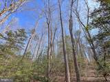 49.26 Acres Jericho Road - Photo 31