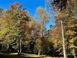 2482 Schelford Farm Rd - Photo 39