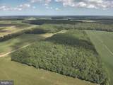  Blueberry Road - Photo 10