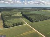  Blueberry Road - Photo 13