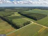  Blueberry Road - Photo 14