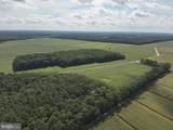  Blueberry Road - Photo 16