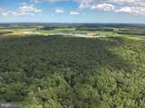  Blueberry Road - Photo 17