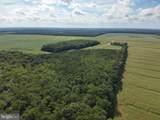  Blueberry Road - Photo 18