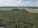  Blueberry Road - Photo 19
