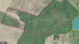 Blueberry Road - Photo 2