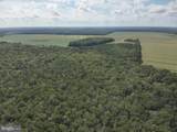  Blueberry Road - Photo 20