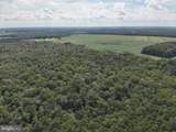  Blueberry Road - Photo 21
