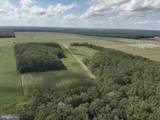  Blueberry Road - Photo 22