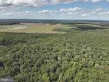  Blueberry Road - Photo 23