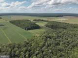  Blueberry Road - Photo 24