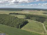  Blueberry Road - Photo 25