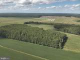  Blueberry Road - Photo 26