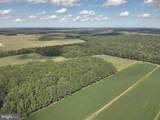  Blueberry Road - Photo 28