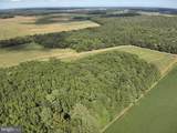 Blueberry Road - Photo 29