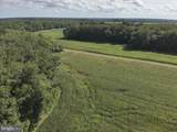  Blueberry Road - Photo 34