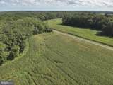  Blueberry Road - Photo 35