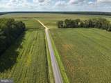  Blueberry Road - Photo 37