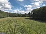  Blueberry Road - Photo 38
