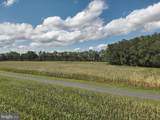  Blueberry Road - Photo 39