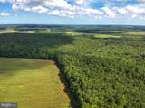  Blueberry Road - Photo 4