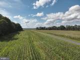  Blueberry Road - Photo 40