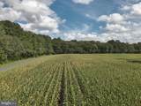  Blueberry Road - Photo 41