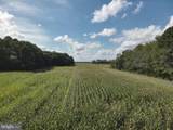  Blueberry Road - Photo 42